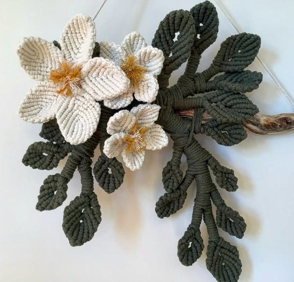 Hanging macrame 3D frangipani with leaves on a driftwood branch